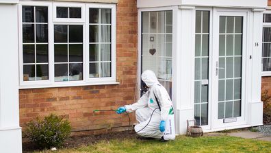 Ant treatment spray