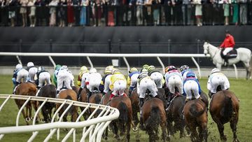 The field runs past the post for the first time in race 7 the Lexus Melbourne Cup.