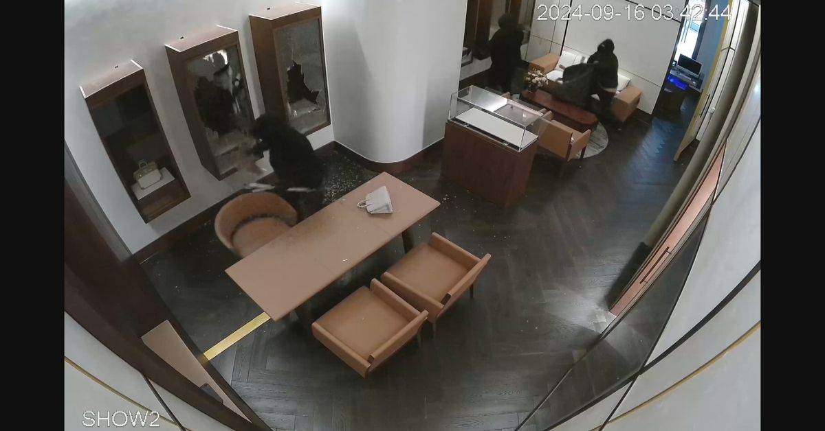 Police hunt robbers who stole 550,000 worth of luxury handbags from