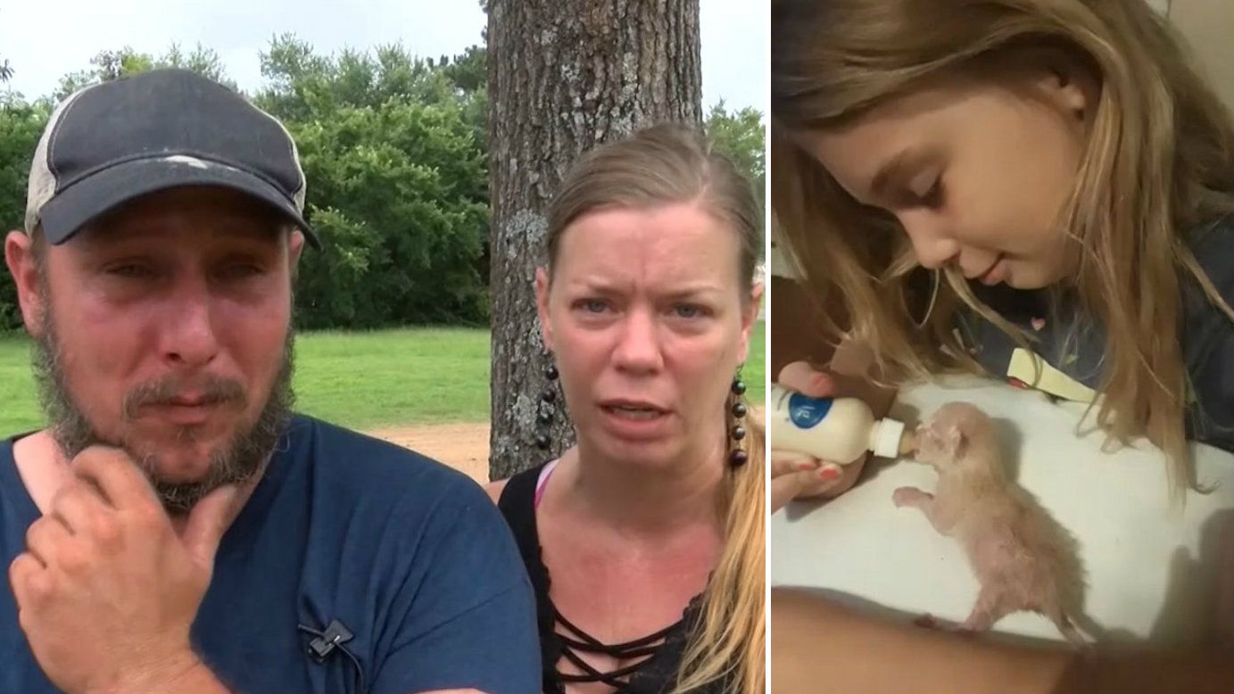 Girl 'electrocuted' rescuing kittens from behind washing dryer in Texas