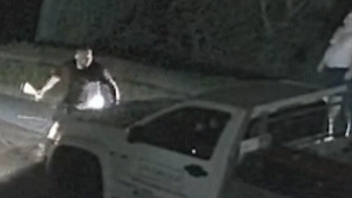 Queensland man bashes his own ute with baseball bat after it was stolen