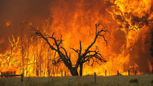 New report upgrades Victoria's bushfire outlook to major