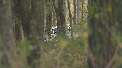 nissan nivara sydney richmond alleged hit and run death