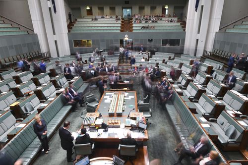 Members in the Lower House have until this morning to declare their citizenship status. (AAP)