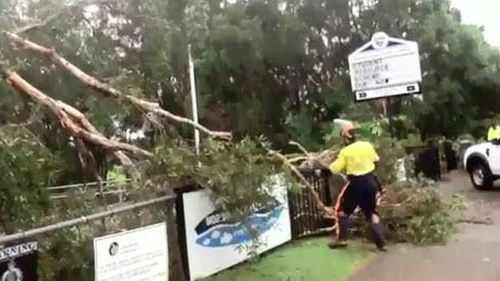 The clean up begins at Mooloolaba State School on the Sunshine Coast after a waterspout hit the area. (9NEWS)