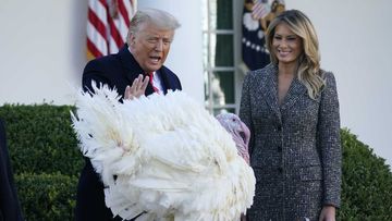 Donald Trump using his pardon power to spare a turkey from a Thanksgiving table.