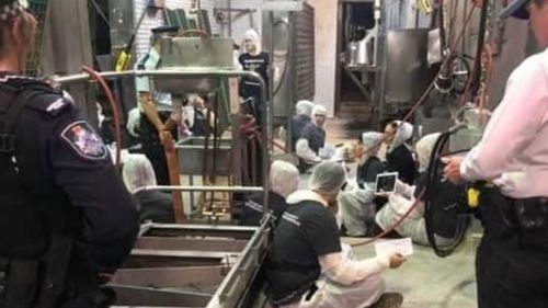 The protesters inside Carey Bros Abattoir. Picture: Green Shirts Movement QLD