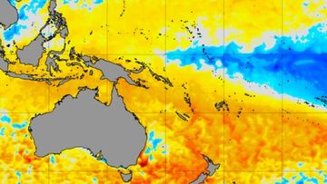 Current sea surface temperature anomalies in the Pacific Ocean, showing a distinctive La Niña pattern with cooler-than-average water in the central and eastern equatorial Pacific Ocean and warmer-than-average water in the western equatorial Pacific Ocean. 