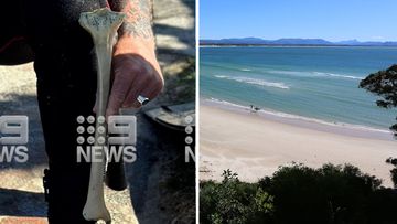 Human bone found at Belongil Beach in Byron Bay.