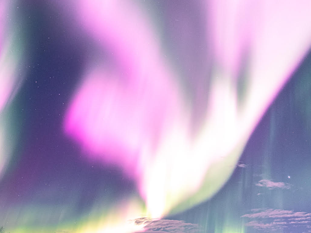 pink and purple northern lights
