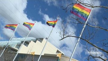 Criticism after 'yes' same-sex marriage campaign uses taxpayer money