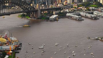 Sydney Harbour brown nsw floods storms wild weather nsw