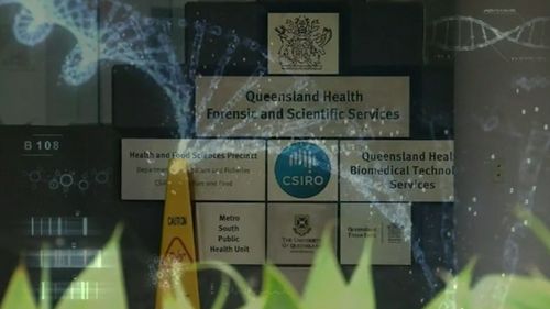 Inquiry into Queensland's forensic DNA lab bungle continues.