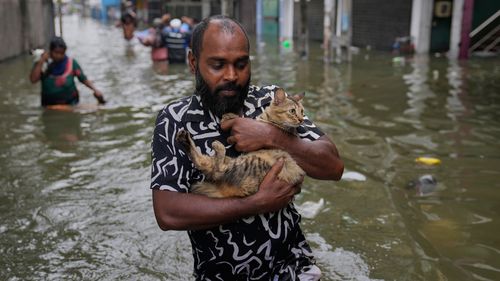 A man wades through a flooded road carrying a cat in Colombo, Sri Lanka, Saturday, Nov, 29, 2025. (AP Photo/Eranga Jayawardena)