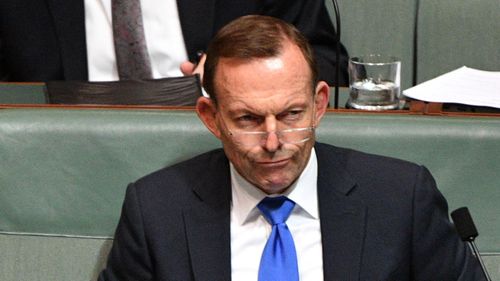 Former Prime Minister Tony Abbott has called for Australia to lift its defence spending. (AAP)
