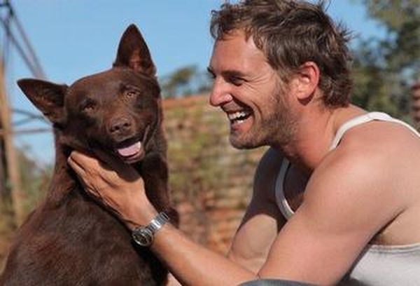 Koko: A Red Dog Story