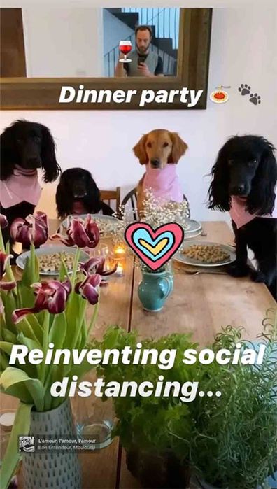 James Middleton Instagram story with his dogs