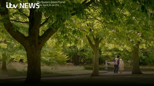 The pair walk around the grounds of Buckingham Palace. (ITV/Supplied)