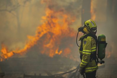Firefighter Adam Brown from FRNSW protects properties along Glenthorne Rd in South Taree from an out of control bushfire, 10th November 2019. 