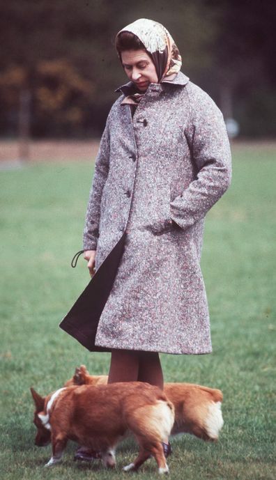 The Queen and her corgis