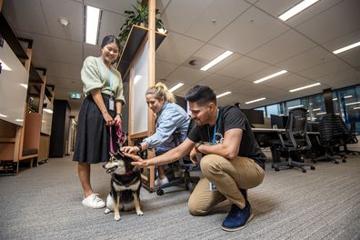 Amazon Australia Dogs at Work program