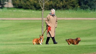 The Queen with her corgies at Windsor Castle in 1994.