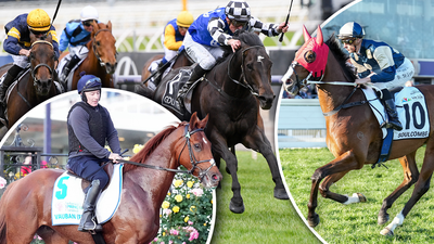 Who will win the 2023 Melbourne Cup?