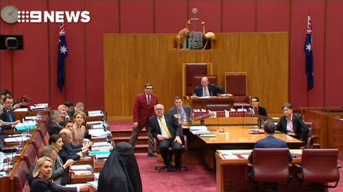 Pauline Hanson is seen in the Senate wearing  a burqa.