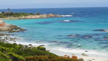 A man&#x27;s body has been found in the search for a missing diver on Tasmania&#x27;s east coast. Emergency services were contacted after 8pm yesterday after the man in his 30s did not return to the group he was diving with off The Gardens.