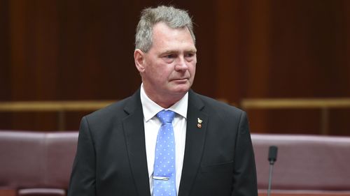 Independent senator Steve Martin has joined the National Party, boosting the Coalition's numbers in the Senate. Picture: AAP