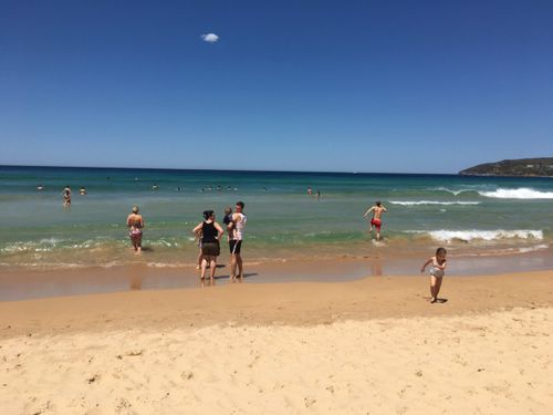 There is barely a cloud in the sky at Queenscliff Beach. Picture: Julie Cross
