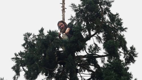 US man returns to solid ground after spending 24 hours atop a 24m tree