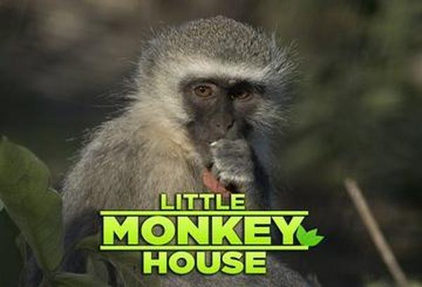 Little Monkey House