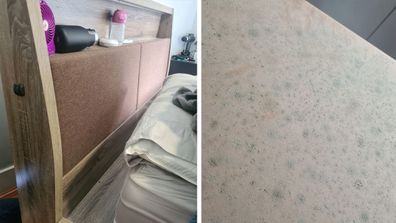 Mould cleaning 