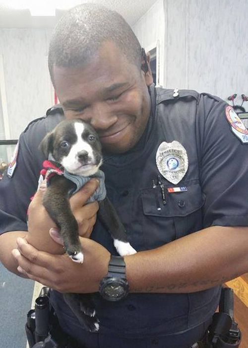 The tiny pup was left outside the shelter in a basket. (Panhandle Animal Welfare Society)