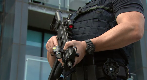 $25 million will be spent equipping the force with long-arm weapons. (9NEWS)