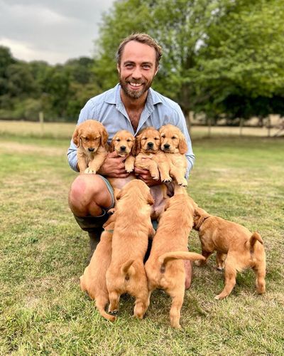 Middleton with Mabel and her adorable litter