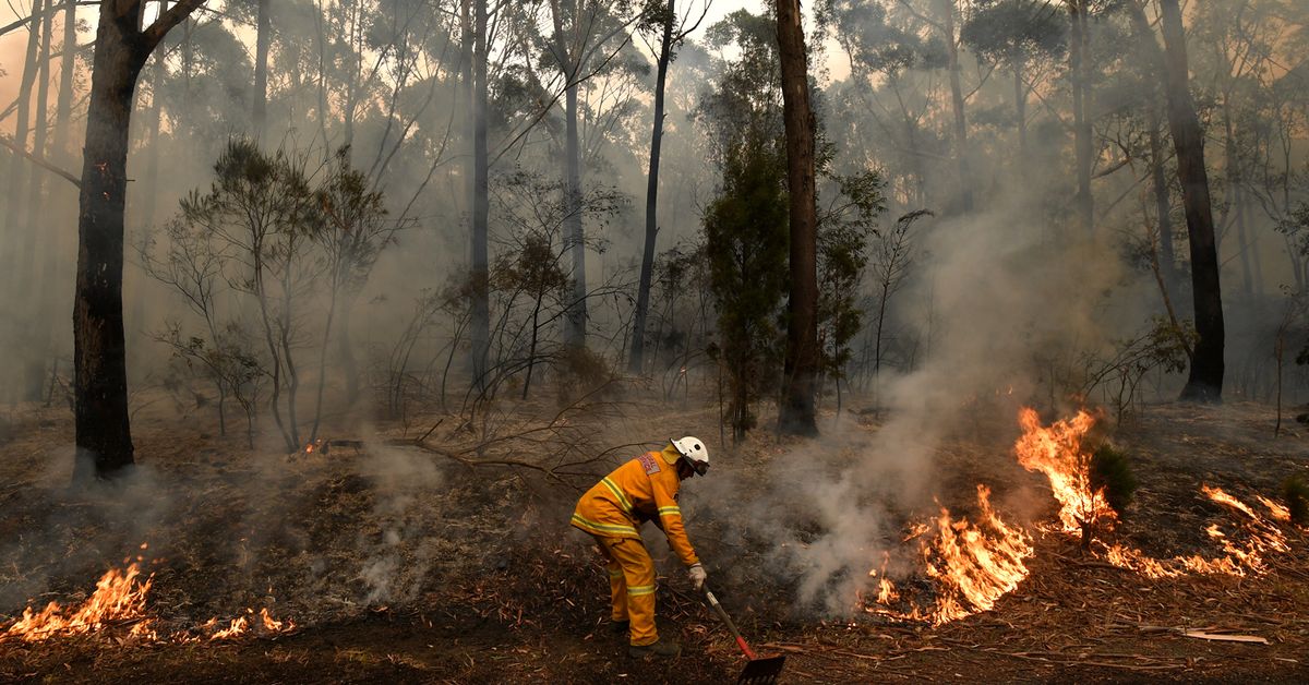 Nsw Bushfires Cops Round Up Two Dozen Alleged Firestarters