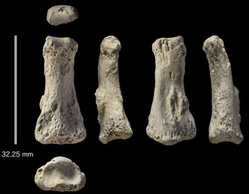 Discovery of  85,000-year-old finger bone fossil rewrites human history