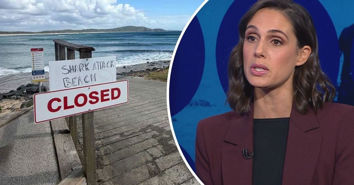 Call for cull after spate of shark attacks 'misinformed', expert says