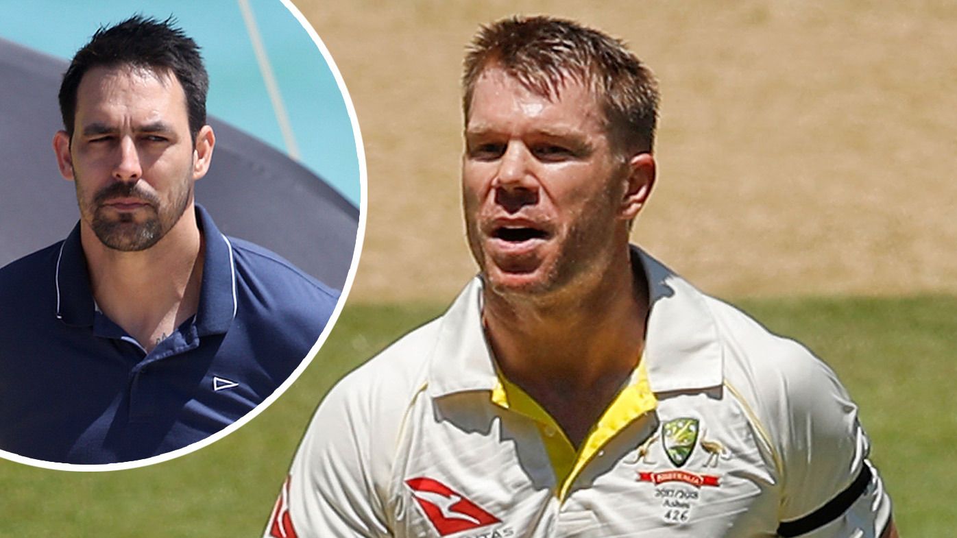 David Warner picked for opening Test of summer as Mitchell Johnson reignites ball-tampering saga