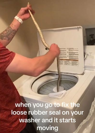 Couple pulls snake from washing machine while fixing loose rubber seal
