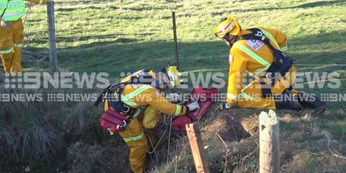 Rescuers worked for hours to winch the pup to safety. Picture: 9NEWS