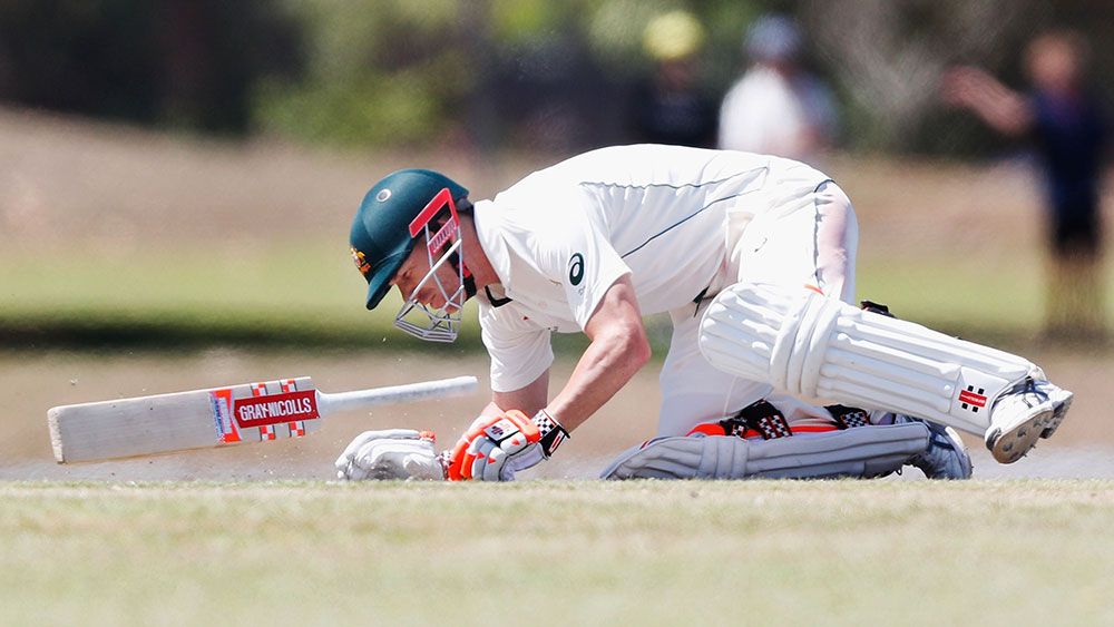Australia batsman David Warner passes concussion test after blow
