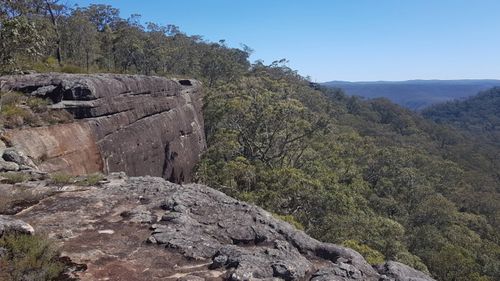 A woman has died after falling 50 metres from the popular lookout on the McKenzie's Saddle walking track.