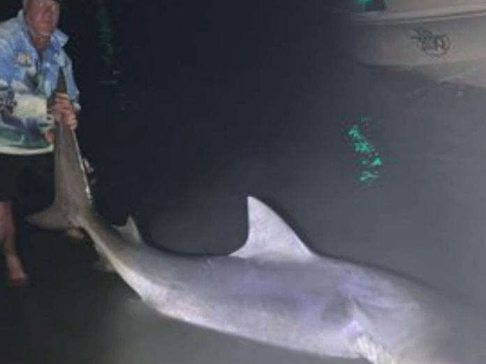 Queensland Fishermen Reel In Mammoth Shark From Lake
