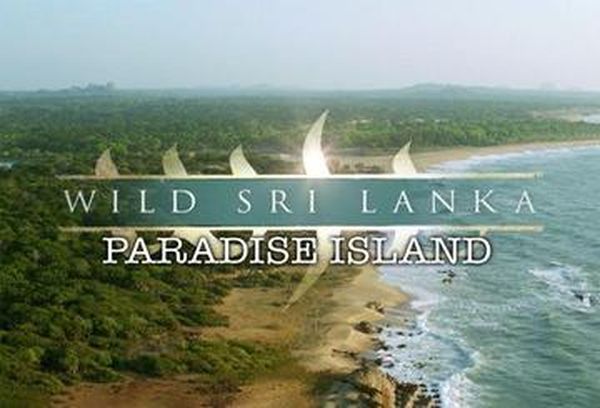 Wild Sri Lanka: Paradise Island