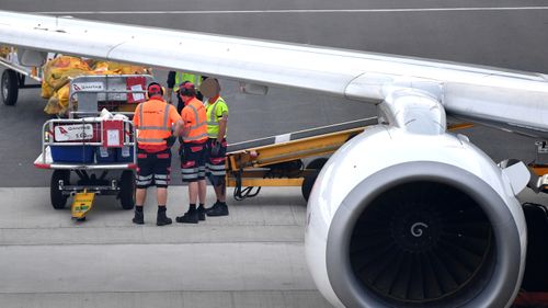 Baggage handlers are seen at Adelaide airport, preparing to load bags onto a Qantas jet.