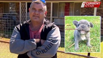 Queensland man caught at the centre of cruel puppy con