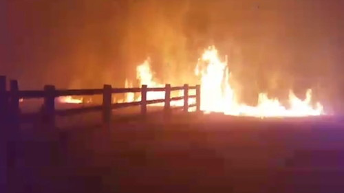 Footage shows the inside of a fire storm at Johns River.
